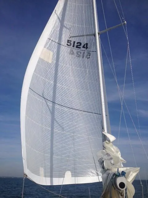 A large, modern translucent sail, marked with the black numbers 5124, is taut and full of wind against a bright blue sky and ocean.