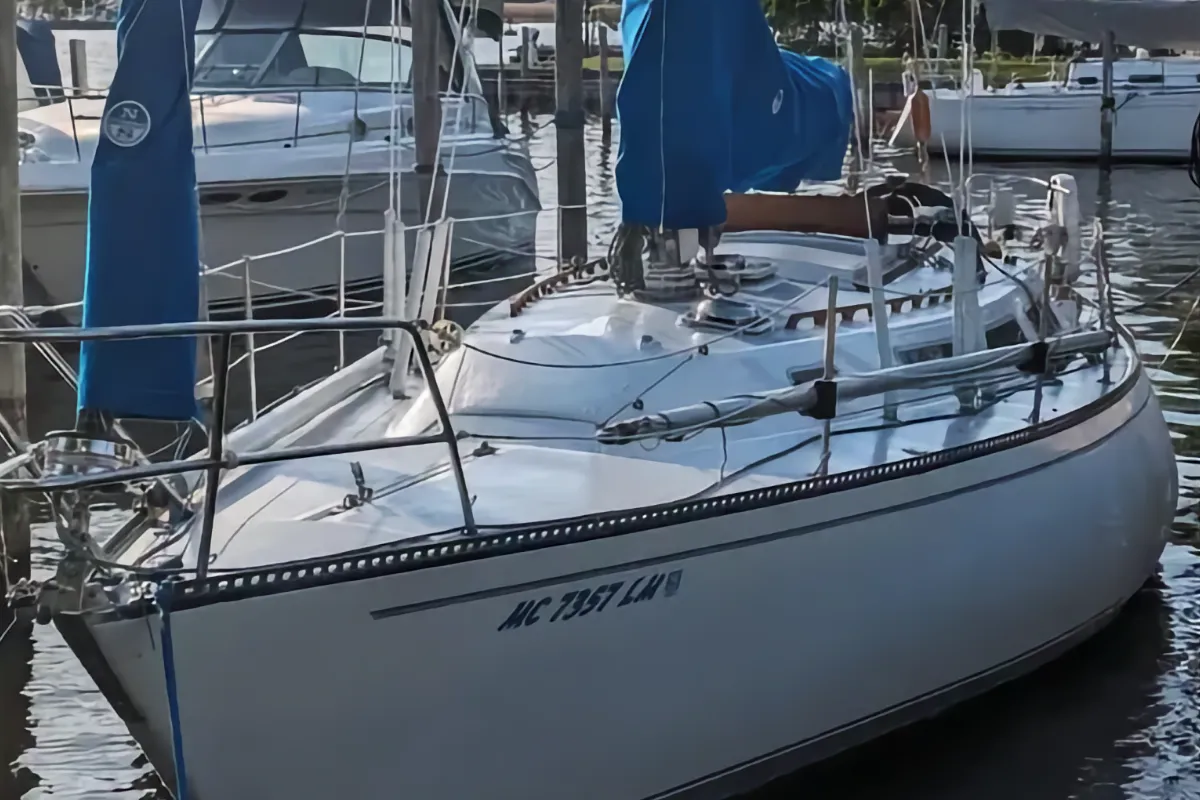 The bow of a white 1984 Catalina 38 sailboat is shown docked at a marina. The hull displays the registration number MC 7357 LM, and the fore sail is covered in blue canvas.
